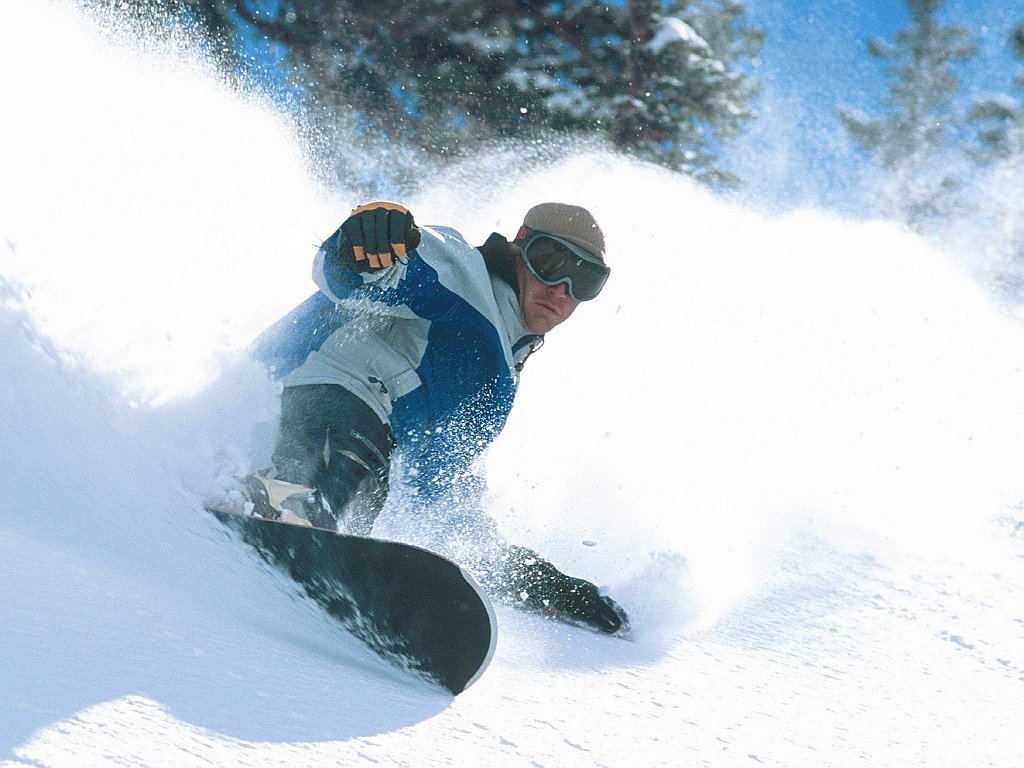 Powder Day, Snowbird, Utah